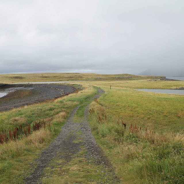Viðey island