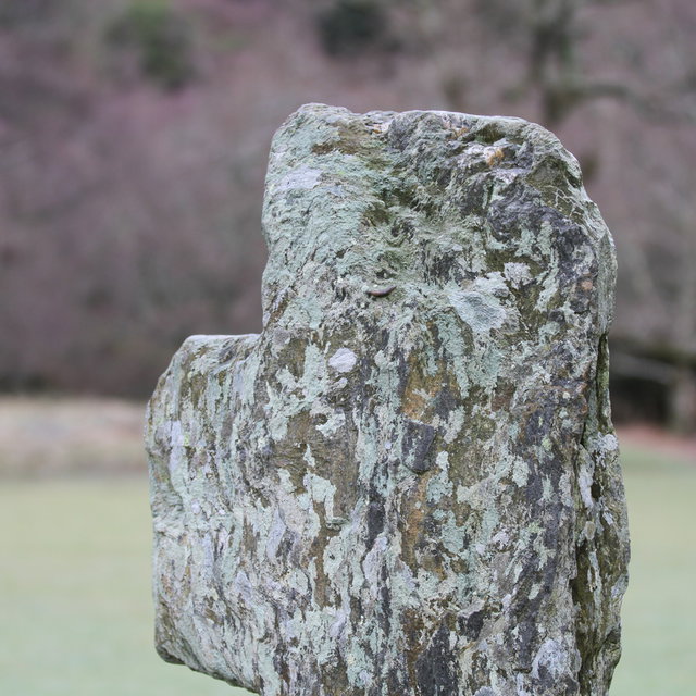 Withered stone cross at Glendalough.