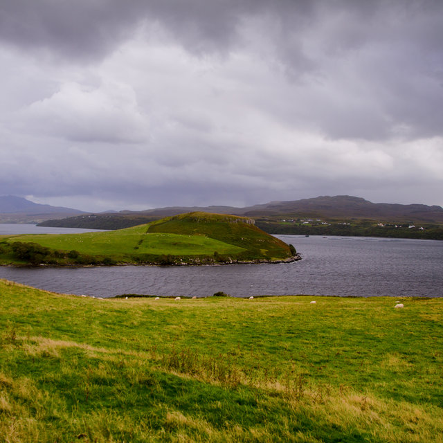 Grazing sheep at the shore of Loch Harport on the Isle of Skye.