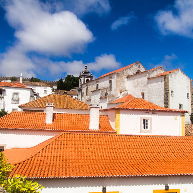 View from the city wall over the roofs of Óbidos.
